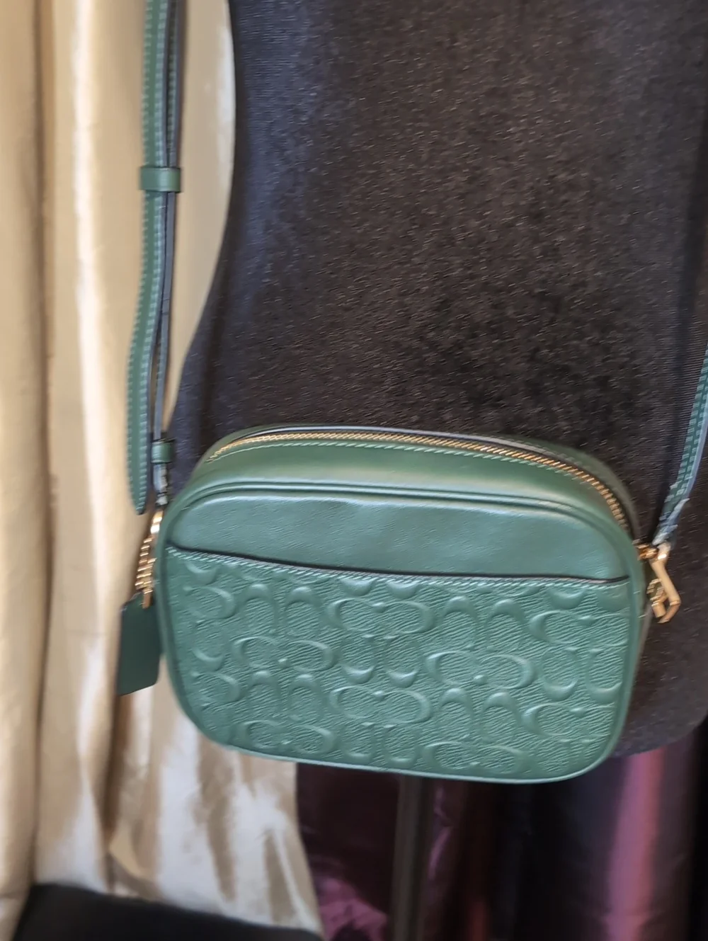 Upcycled,Coach Green Leather Signature Crossbody, With Hand Painted Flowers